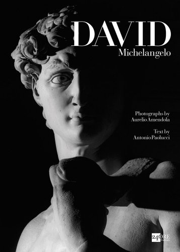 David michelangelo amendola - michelangelo,,