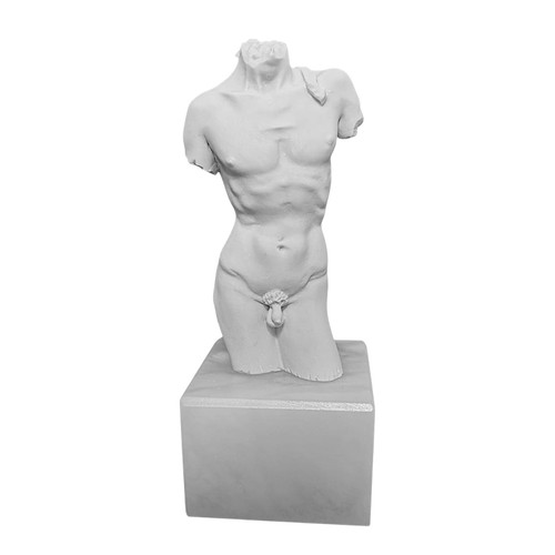 David von michelangelo torso - michelangelo,
