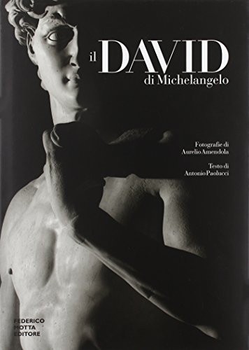 David michelangelo by - di,