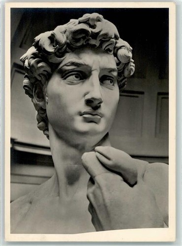 39290368 michelangelo david - -,
