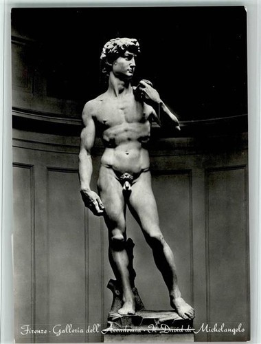 The david michelangelo - david,