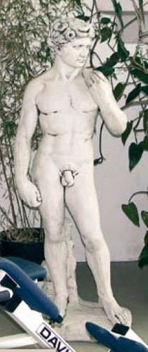 David von michelangelo - david,