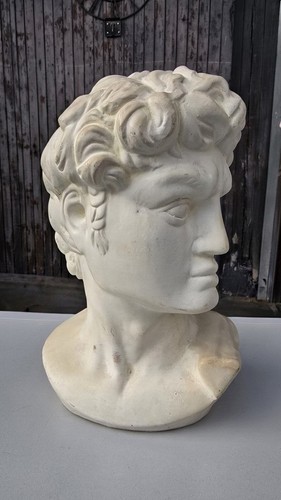 David michelangelo kopf - kopf, büste
