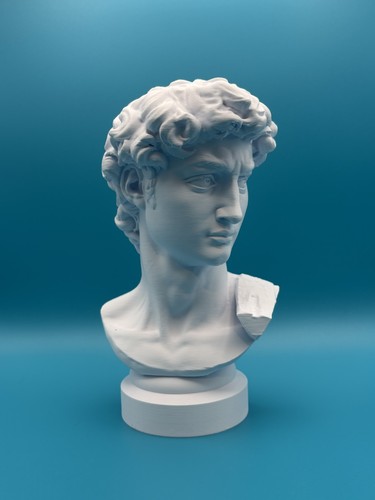 Büste art furenze david - 3d,